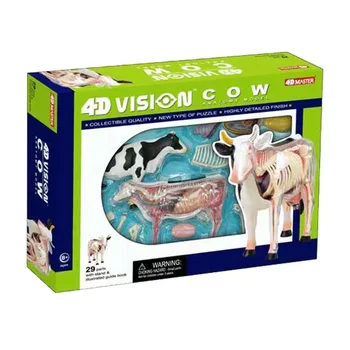 4D Крава, която се събира играчка, Биология животно, Анатомическая модел орган, Медицинска образователна модел