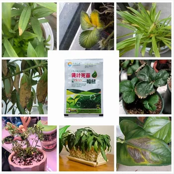 25 г зелени листа за листата хранене на растенията, микроелементи, водоразтворими торове, хранителни добавки за лечение на нездравословни листа