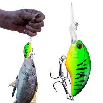 Риболовна стръв, риболовни принадлежности, примамки, водоустойчив 3D дизайн 
